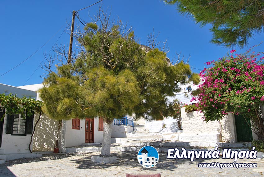 Ανάφη